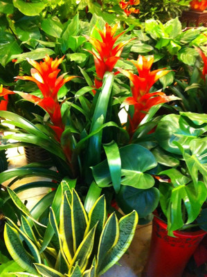 上海閔行禮品/鮮花公司與58網(wǎng)鄰通紙制品銷售分析